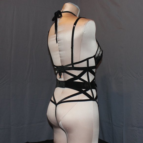 Victoria's Secret Designer Collection Velvet Teddy - Picture 3 of 12